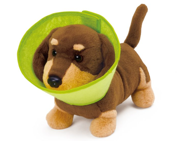 Hape Puppy Care Clinic Vet Set