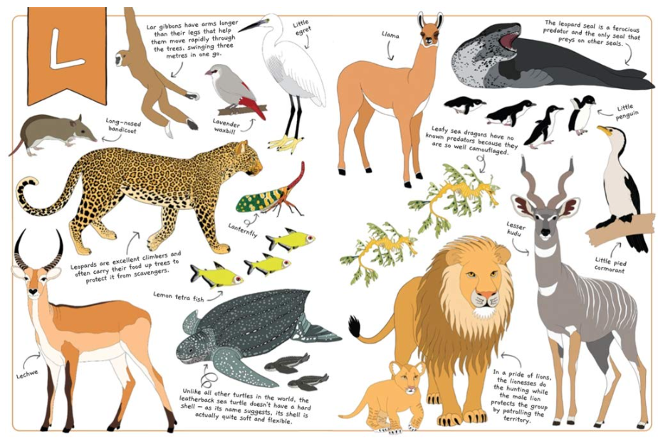 The Ultimate Animal Alphabet Book Book