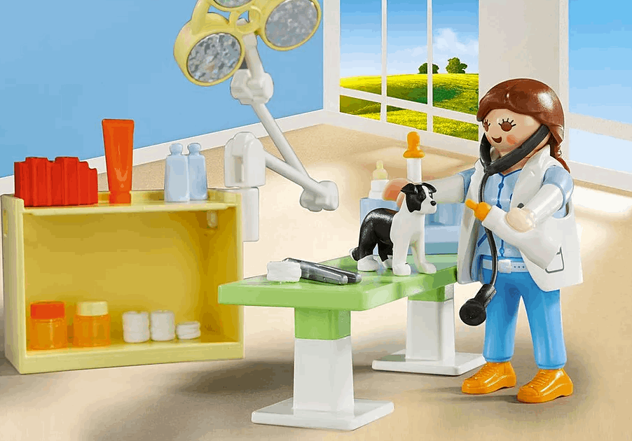 Playmobil Vet Visit Carry Case playset