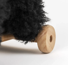 Load image into Gallery viewer, Egmont Toys Pull Along Walter Dog