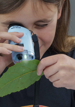 Load image into Gallery viewer, Heebie Jeebies Pocketscope