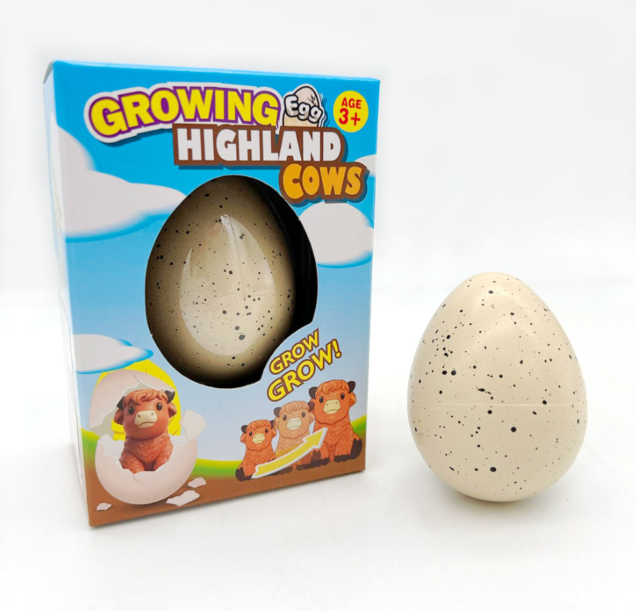 Growing Pet Highland Cow Egg