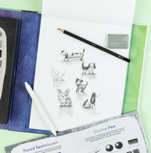 Load image into Gallery viewer, Tiger Tribe Amazing Artist Kit Art and Craft