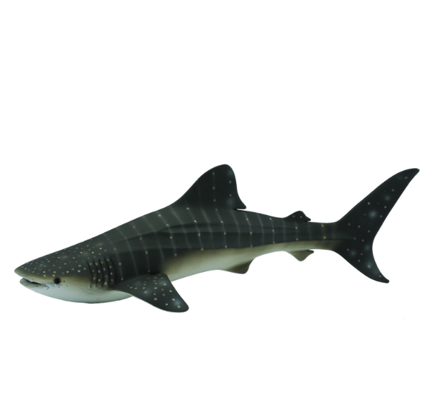 Collecta Whale Shark