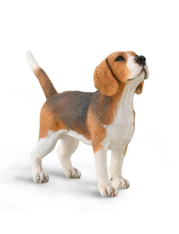 Collecta Beagle