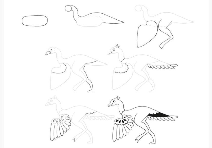 Janod Step by Step Drawing Dinosaurs