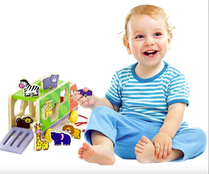 Viga Pull Along Shape Sorter Animal Truck