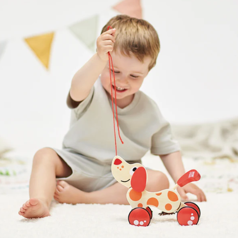 Hape Pepe Pull Along Puppy