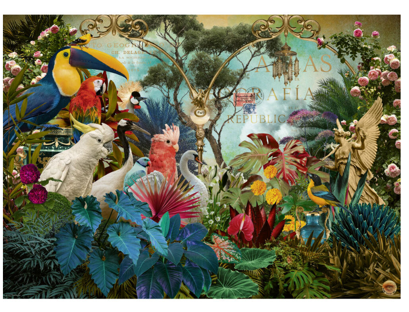 Fauna Fantasies Birdiversity 1000pc Heye Puzzle