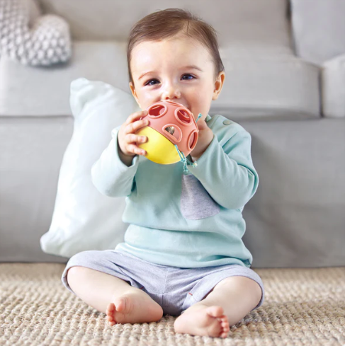 Hape Busy Bug Roll