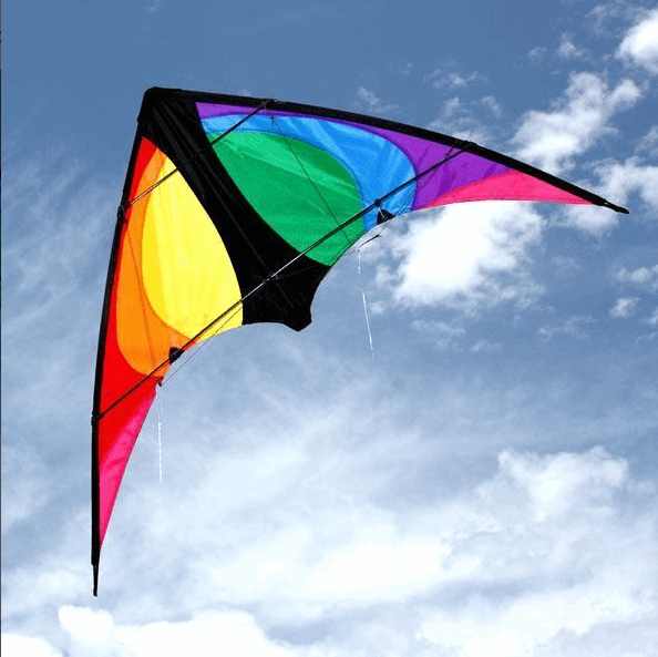 Windspeed Stinger Stunt Kite