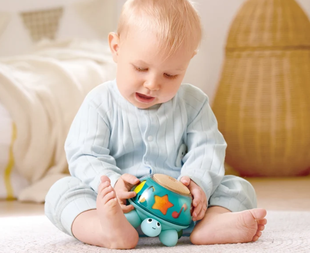 Hape Twist & Tune Turtle