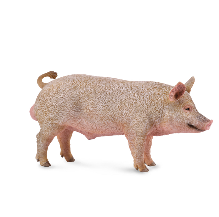 Collecta Boar (pig) figurine