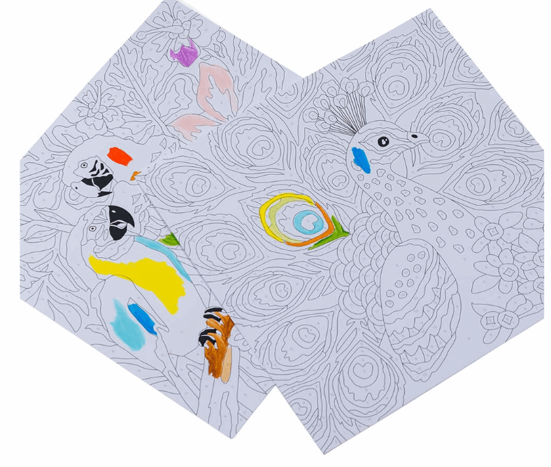 EurekaKids Paint By Numbers - Multicolour Birds Art & Craft