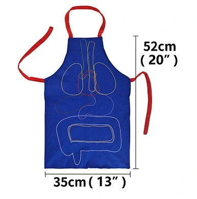 3D Anatomy Apron with Detachable Organs Learning Aid