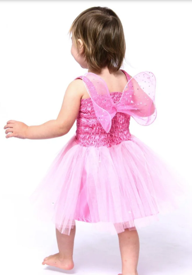Dress Up Friendship Fairy Dress Dress Up