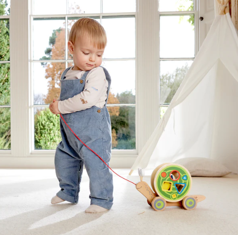Hape Walk A Long Snail