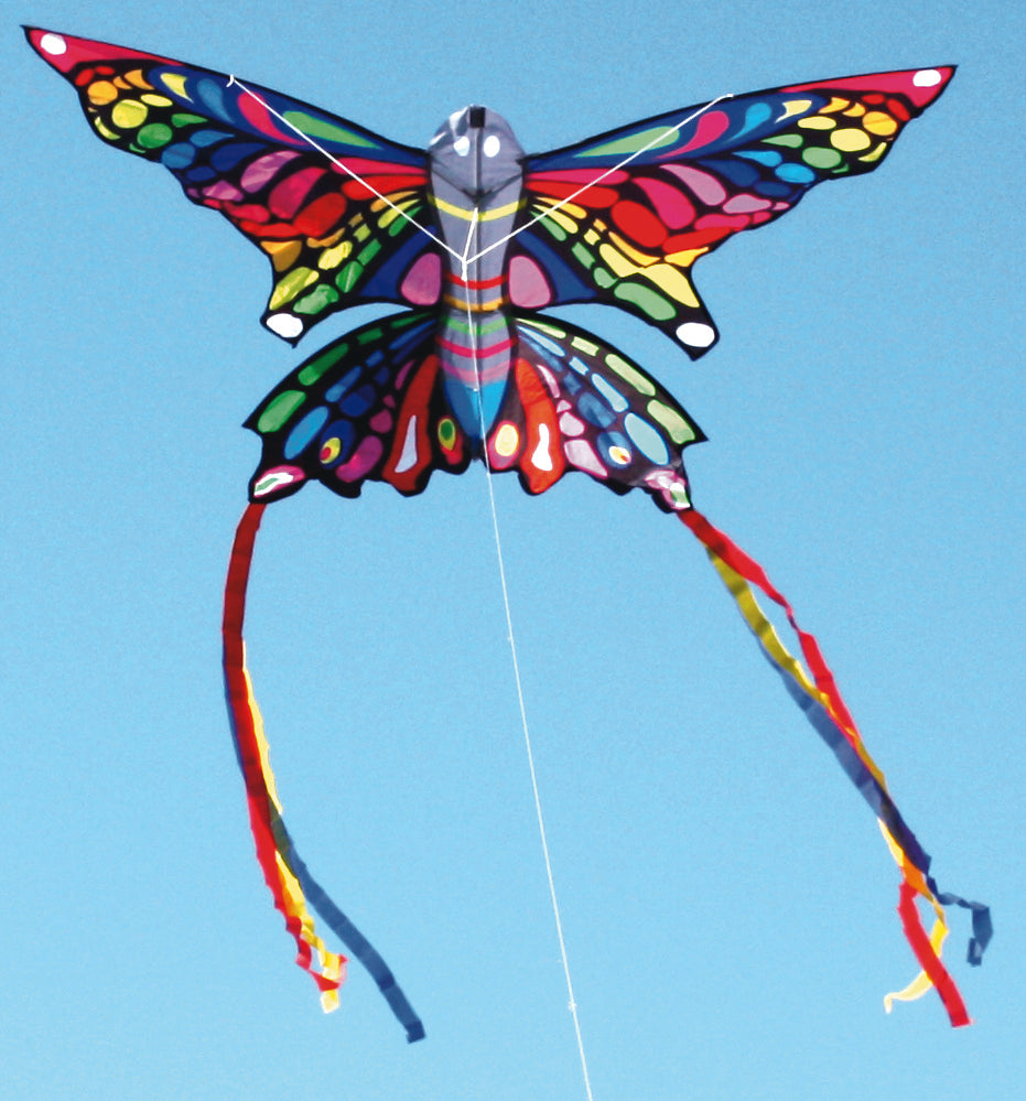 Windspeed Rainbow Butterfly Kite Outdoor Play