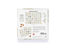 Load image into Gallery viewer, Dinosaur Bingo Game Game