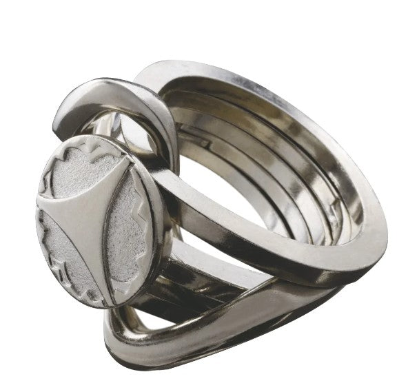 Hanayama Huzzle Cast Rings II Level 5 Puzzle
