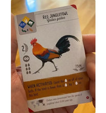 Load image into Gallery viewer, Wingspan Asia Game