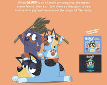 Load image into Gallery viewer, Bluey Camping Book Children's Book