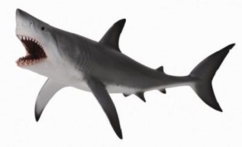 Collecta Great White Shark Figure