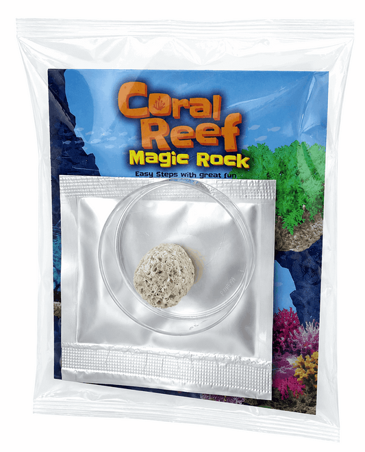 Coral Reef Magic Rock Crystal Growing