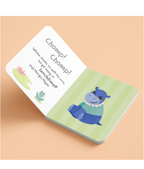 First Steps Hello Baby Mirror Book book