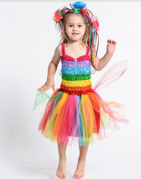 Dress Up Friendship Fairy Dress Small 2-4yrs Rainbow Dress Up