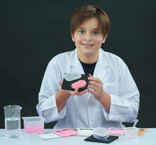 Heebie Jeebies Crystal Grow & Explore Set Science
