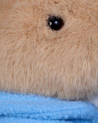 Peter Rabbit 25cm Classic Soft Plush Plush Toys