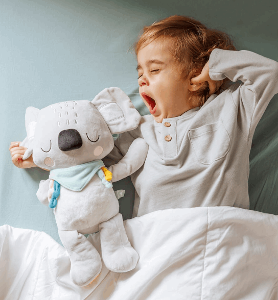 EurekaKids Cucu Koala Plush Plush Toys