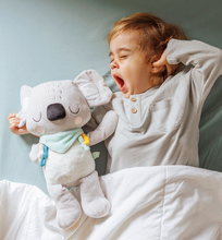 Load image into Gallery viewer, EurekaKids Cucu Koala Plush
