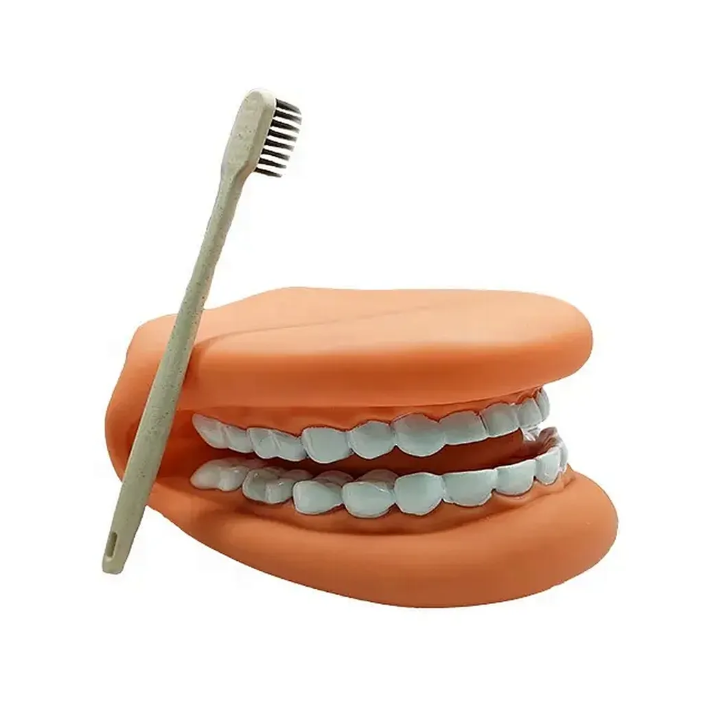 Teeth Brushing Glove Puppet with Toothbrush teaching tool