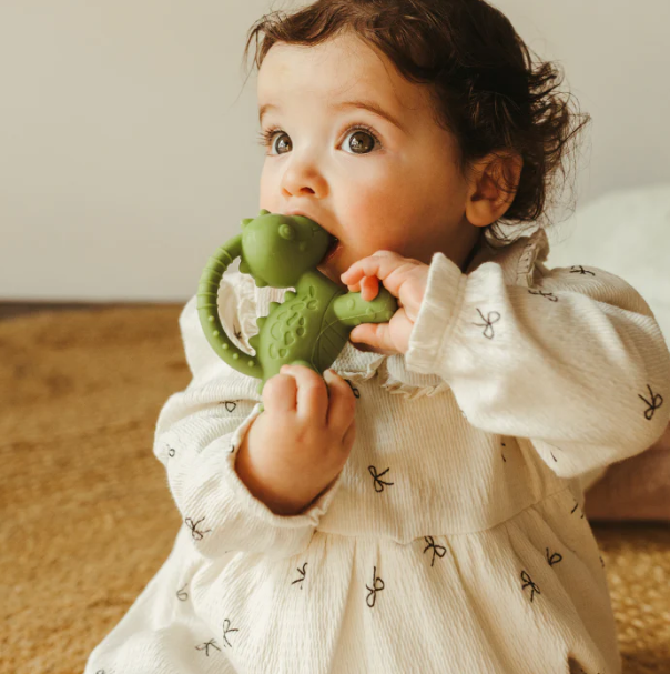 Jellystone Designs Dino Teether