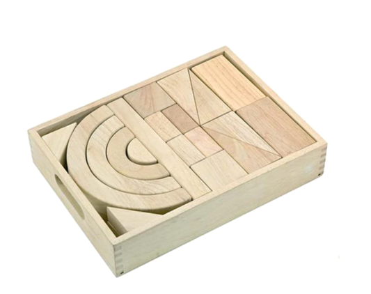 Viga Blocks In Tray 42pc