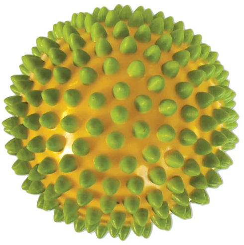 Edushape Senso Dot 4" Sensory Ball