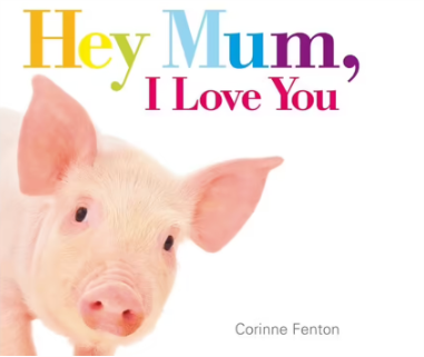 Hey Mum, I Love You Board Book board book
