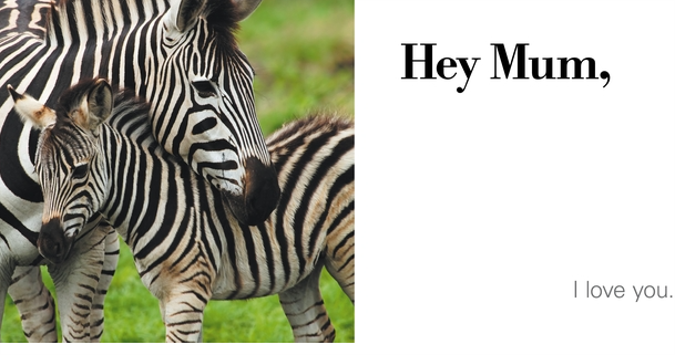 Hey Mum, I Love You Board Book board book