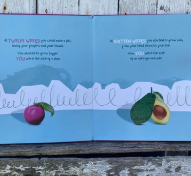 You Were Once The Size Of A Plum by Kirilee Furlong book
