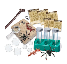 Load image into Gallery viewer, 4M KidzLabs Creepy Crawly Digging Lab

