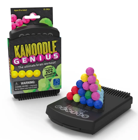 Educational Insights Kanoodle Genius Puzzle/Game