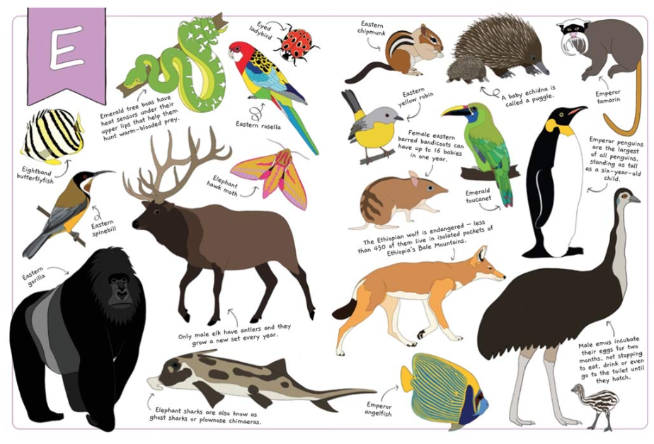 The Ultimate Animal Alphabet Book Book