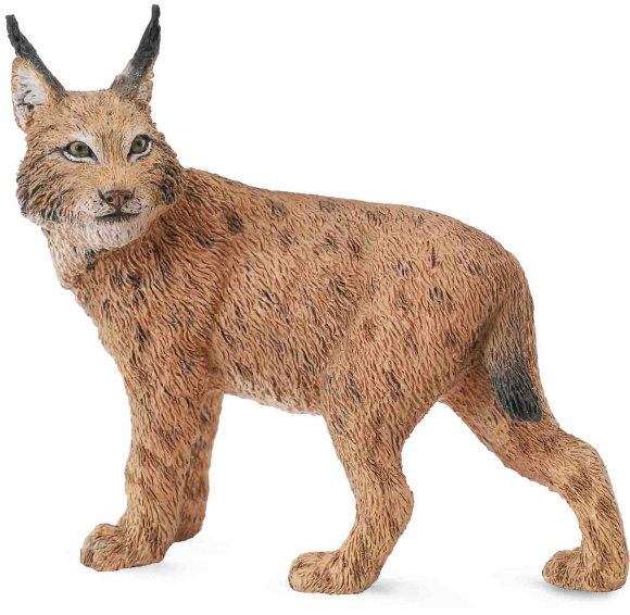 Collecta Lynx