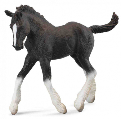 Collecta Shire Horse Foal Black Figurine