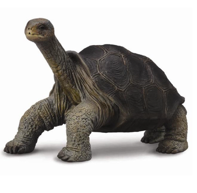 Collecta Tortoise Pinta Island Figurine