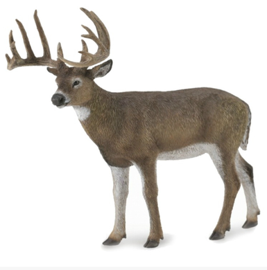 Collecta White Tailed Deer Figurine