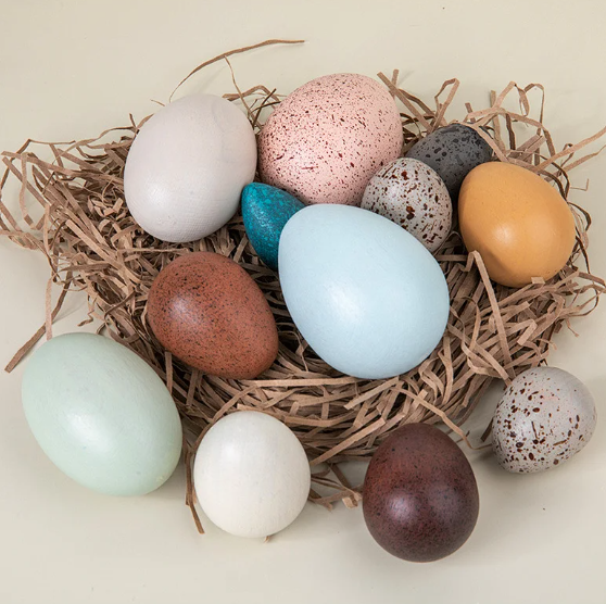 Wooden Bird Egg Set 12pc Sensory