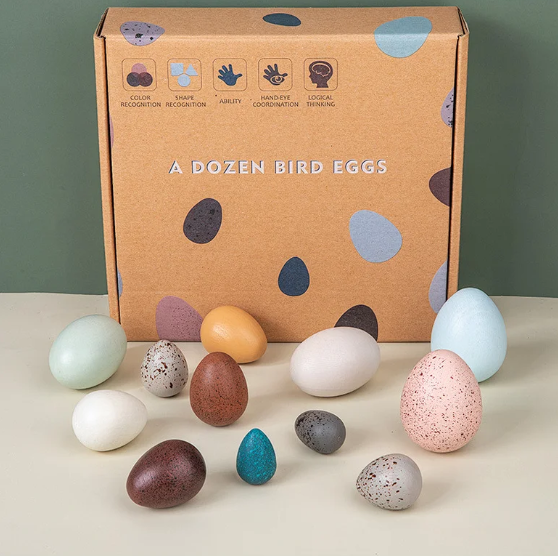 Wooden Bird Egg Set 12pc Sensory